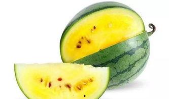 吃瓜好料,吃瓜好料带你领略明星幕后故事