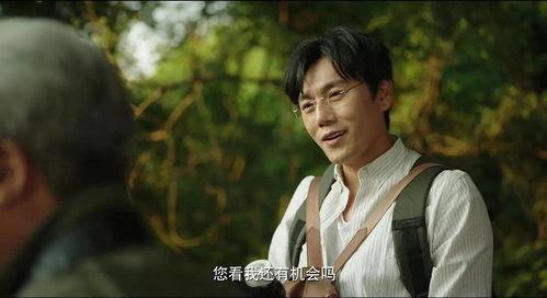 吃瓜看流星,揭秘娱乐圈的璀璨瞬间