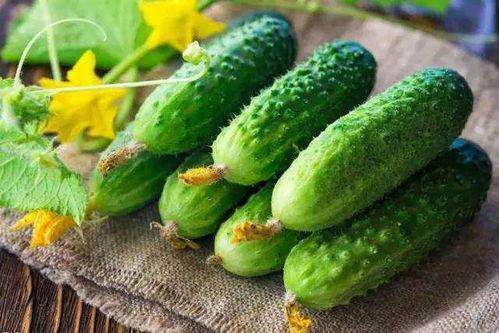 小瓜花可以吃不,探寻不凡口感