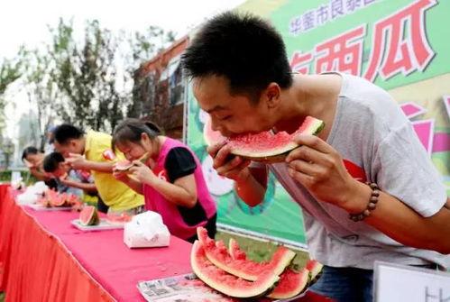 吃瓜比赛横幅内容,横幅标语揭秘精彩瞬间