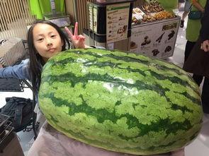 just吃瓜小号,网络舆论场中的神秘力量