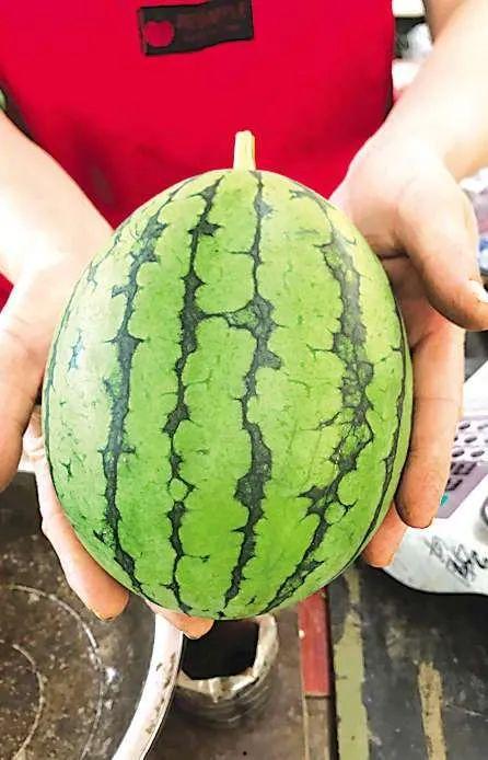 千城吃瓜事件,揭秘网络舆论狂欢背后的真相