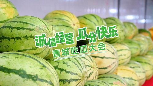 创造营最新吃瓜,瓜田李下，选手们背后的故事与争议