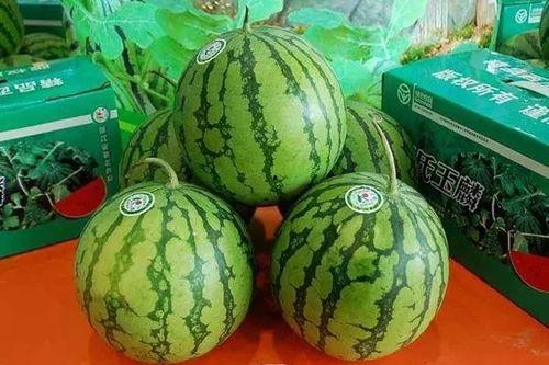 菏泽人吃瓜吗,探寻当地独特的饮食文化