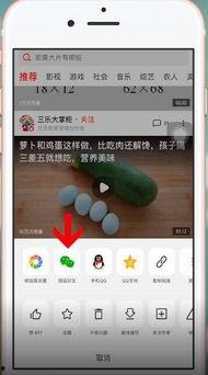 吃瓜微信好友,那些吃瓜好友背后的故事
