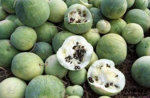 吃瓜落的由来,揭秘民间美食的传奇起源