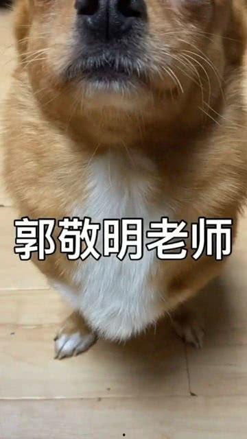 吃瓜卡住了短剧,短剧里的意外笑料