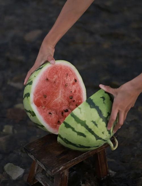 在西瓜地里吃瓜