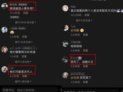 套路璐吃瓜视频,揭秘娱乐圈背后的真相与八卦