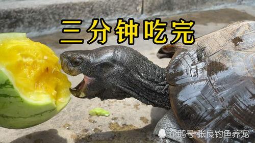 特效吃瓜小能手,揭秘娱乐圈幕后那些事儿