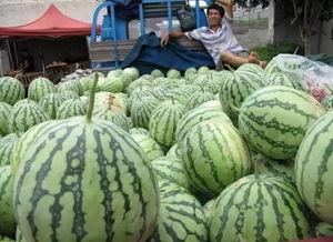 车吃瓜了,揭秘汽车界的那些“瓜”