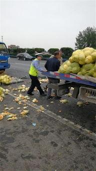 车吃瓜了,揭秘汽车界的那些“瓜”