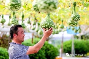 带你吃瓜奇怪滑梯,揭秘神秘滑梯背后的故事