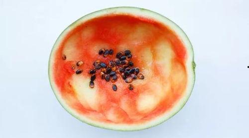 勺子吃瓜铁铲,探寻美食背后的趣味故事