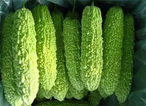 南宁艺校吃瓜,揭秘校园吃瓜背后的故事