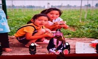 鄄城吃瓜事件,一场引发社会热议的网络风波