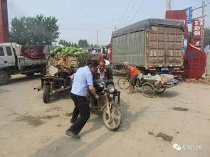吃瓜队长阜城,吃瓜队长带你揭秘幕后真相