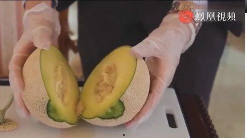 发烧吃花蜜瓜,天然食疗新选择