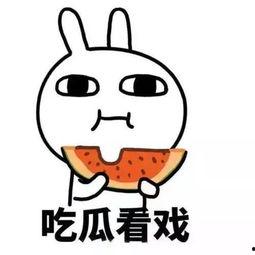 吃瓜出了情感问题,揭秘“瓜农”们的内心挣扎