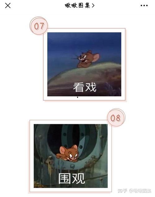 吃瓜看戏表情包动漫,动漫表情包里的欢乐时光