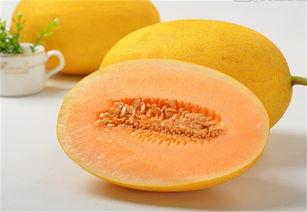 哈密瓜吃几天,一周美味探索之旅