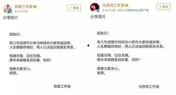 娱乐吃瓜700分,揭秘700分背后的娱乐圈风云