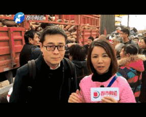 吃瓜群众姐姐好悲伤,姐姐的悲伤之旅