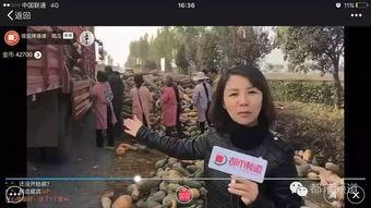 吃瓜群众姐姐好悲伤,姐姐的悲伤之旅