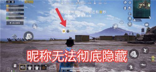 吃鸡开麦瓜,吃鸡游戏中的趣味互动新体验