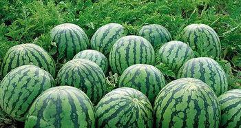 长佩吃瓜,揭秘娱乐圈背后的那些事儿