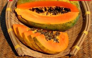 俄罗斯吃瓜网入口,带你领略俄式网络文化盛宴