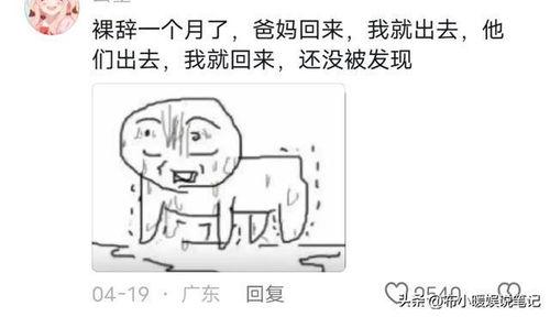 网友分享吃瓜,一场吃瓜盛宴背后的真相大揭秘！