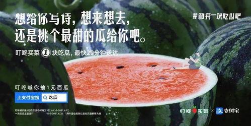 吃瓜故事的文案,揭秘那些令人捧腹的吃瓜故事