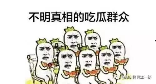 网恋得吃瓜,揭秘虚拟世界的甜蜜与陷阱