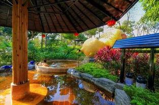 永定温泉吃瓜号,吃瓜号带你领略地热奇观