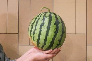 吃瓜全网最新观看,全网热议！吃瓜群众最新观看盘点