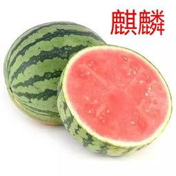 烦恼吃瓜,揭秘网络舆论背后的心理困境