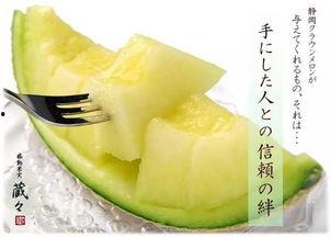 白冰吃静冈蜜瓜,静冈蜜瓜的美味之旅