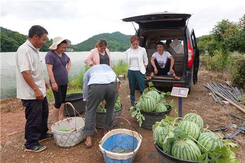 湘潭话吃瓜,趣味横生的方言文化解读