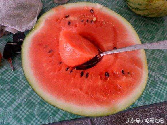 再次吃瓜,揭秘再次吃瓜背后的故事