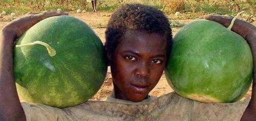 黑男吃瓜,揭秘娱乐圈幕后真相