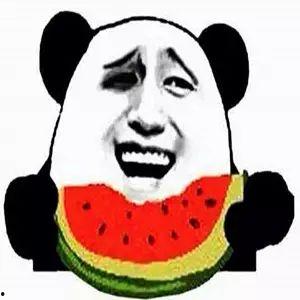 吃瓜群头像可爱,可爱吃瓜群头像背后的温馨故事