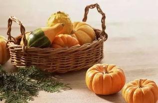 五人吃瓜,共度欢乐时光