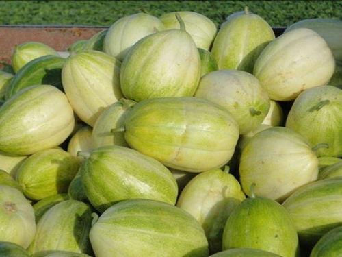 法克嗷吃瓜,揭秘娱乐圈那些不为人知的幕后故事