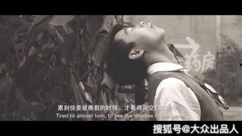 天朝吃瓜电影解析,揭秘娱乐圈幕后风云