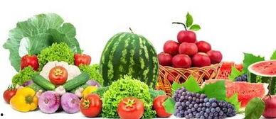 恩阳小学吃瓜,瓜果飘香，快乐成长