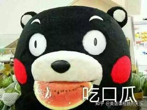 吃瓜最后变英文,一场文化碰撞之旅