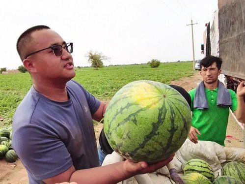 现实吃瓜图片,一场视觉盛宴背后的故事