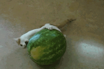 穿越明国吃瓜,品味风云变幻中的市井百态