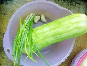 脑中风水瓜可以吃吗,揭秘其食用价值与注意事项